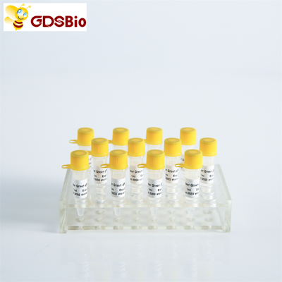 GDSBio HS Probu QPCR Gerçek Zamanlı PCR Karışımı P2201 P2202