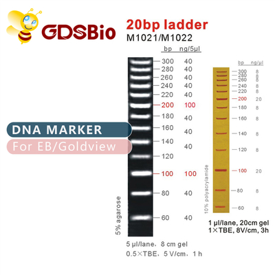 Yüksek Saflıkta Reaktifler 20bp DNA Marker Ladder Jel Elektroforezi