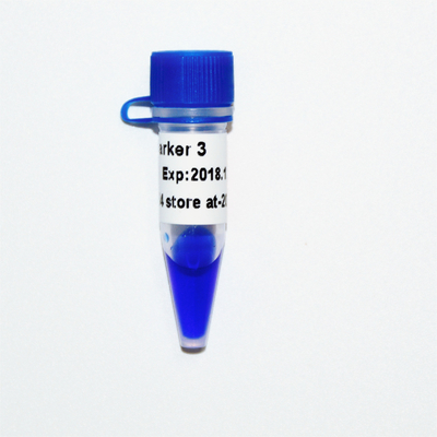 Marker 3 DNA merdiveni M1121 (50μg)/M1122 (5×50μg)