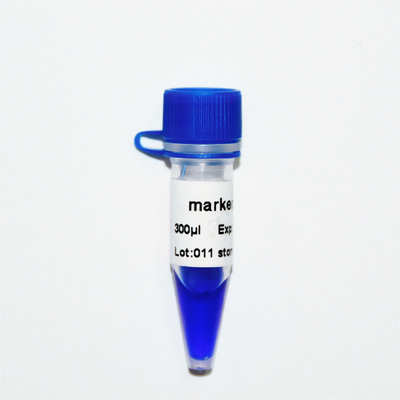 Marker 11 DNA merdiveni M1131 (50μg)/M1132 (5×50μg)