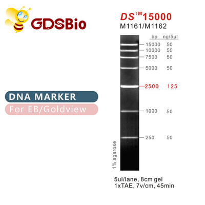 DS15000 DNA İşaret Merdiveni M1161 (50μg)/M1162 (5×50μg)