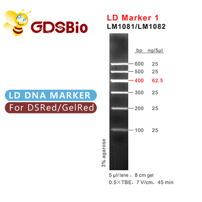 Mavi Görünüm LD Marker 1 DNA Marker Elektroforez