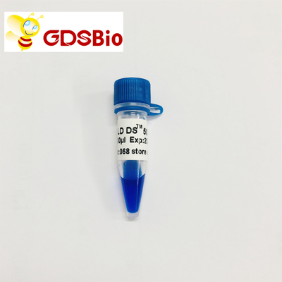 GDSBio LD DS 5000 DNA İşaretleyici Elektroforez Mavi Görünüm