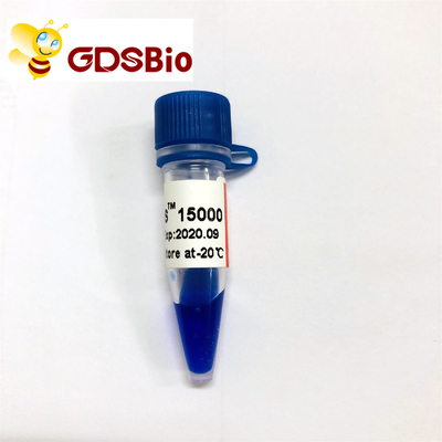 LD DS 15000bp 15kb DNA Marker Ladder LM1161 (50 hazırlık)/LM1162 (50 hazırlık×5)