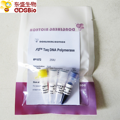 PCR QPCR FS Taq DNA Polimeraz P1071 P1072 P1073 P1074