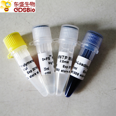 PCR QPCR FS Taq DNA Polimeraz P1071 P1072 P1073 P1074