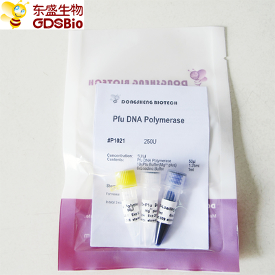 PCR P1021 P1022 P1023 P1024 için Pfu DNA Polimeraz