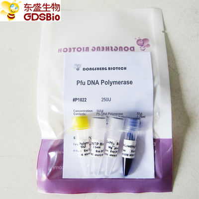 PCR P1021 P1022 P1023 P1024 için Pfu DNA Polimeraz