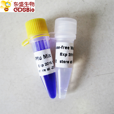 Hotstart Pfu Mix PCR Master Mix P2051 1m P2052 Mavi Tampon