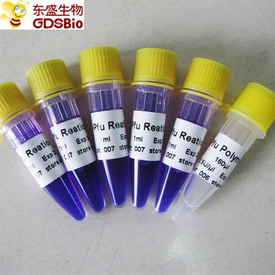 Nükleik Asit PCR Tespiti Pfu Master Mix P3022 1ml×5