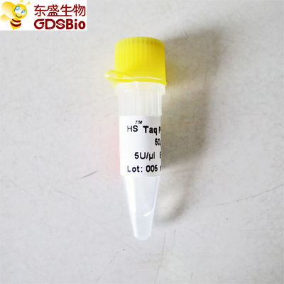 HS Hotstart Taq DNA Polimeraz PCR Reaktifi Yüksek Spesifiklik P1081 P1082 P1083 P1084