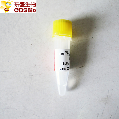 HS Hotstart Taq DNA Polimeraz PCR Reaktifi Yüksek Spesifiklik P1081 P1082 P1083 P1084