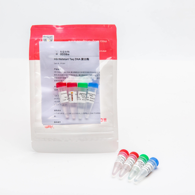 HS Hotstart Taq DNA Polimeraz PCR Master Mix P1091 500U Yüksek Spesifiklik
