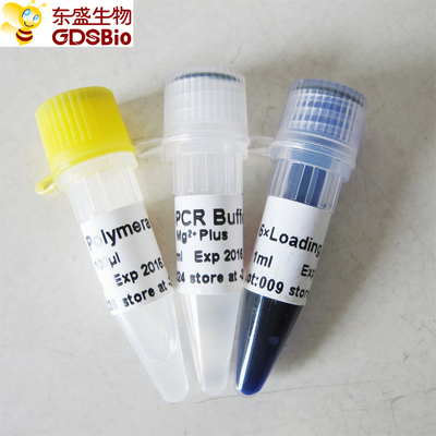 Taq DNA Polimeraz P1011 500U PCR Master Mix Mavi Tampon