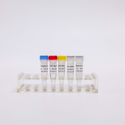 QPCR Önceden Karıştırılmış Ters Transkriptaz PCR Reaktifleri R1031 için RT PCR Karışımı