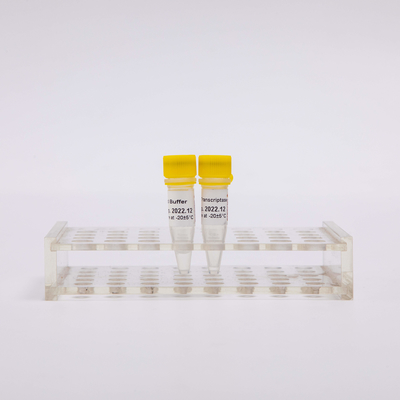 Altın Rt PCR Ters Transkriptaz R3001 2000U R3002 10000U