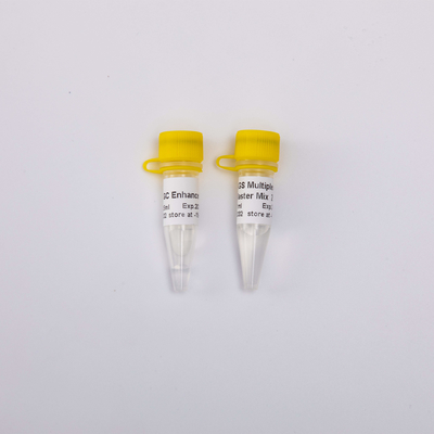 40/400/2000 Reaksiyonları 2X NGS Çoklu Plex PCR NM1001 NM1002 NM1003