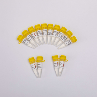 ARTIC SARS-CoV-2 NGS Kütüphane Yapısı Multiplex PCR Kiti
