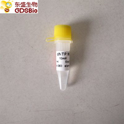 PCR için dNTP Karışımı qPCR P9013 1ml