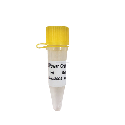 Yüksek ROX+ Gerçek Zamanlı PCR Karışımı Güç Yeşil QPCR Karışımı 1ml