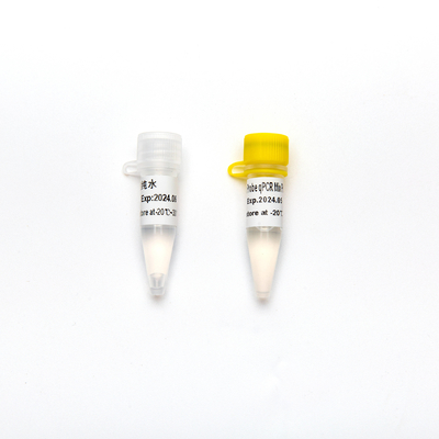 Konsantre Premiks Direkt Multiplex Prob 2× QPCR PCR Reagent Mix Plus, UDG'li