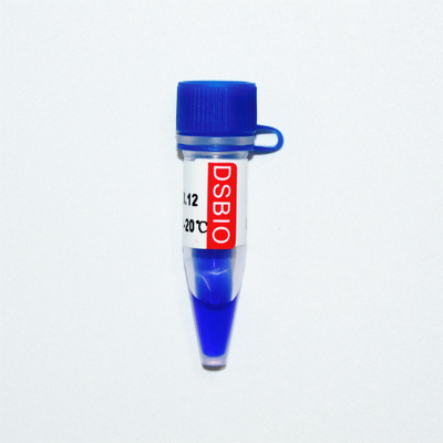 GDSBio Marker 3 DNA Marker Jel Elektroforez Mavi Görünüm