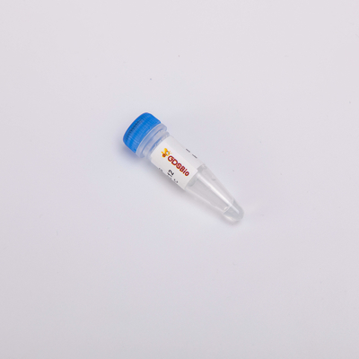 Gerçek Zamanlı PCR UDG İçin Isıya Dayanıklı Ana Karışım Yüksek Etkili Kirlenme Önleyici Enzim