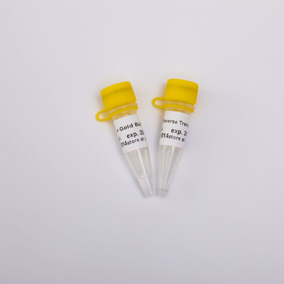10000U Altın Ters Transkriptaz PCR R3002 Renksiz Görünüm