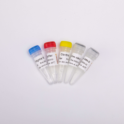 QPCR Önceden Karıştırılmış Ters Transkriptaz PCR Reaktifleri İçin R1031 GDSBio RT PCR Karışımı