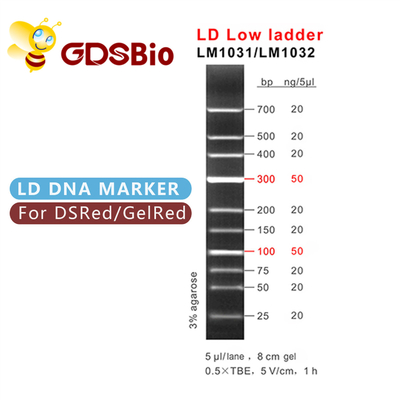 100bp 300bp LD Düşük Ladder DNA İşaretleyici Elektroforezi