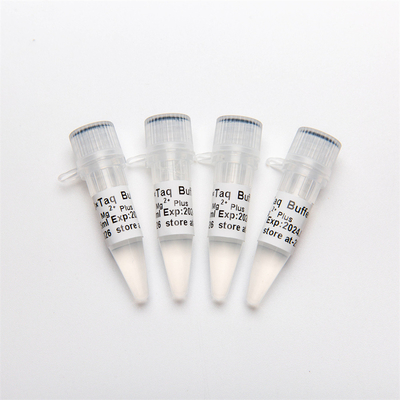 10× Mg2+ MgCl2 P5011 1.25ml×4 ile PCR Tamponu