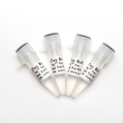 Renksiz 10× PCR Tamponu Mg2+ Serbest P5011a 1,25ml×4