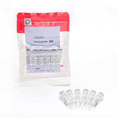 1,25ml×6 Kullanıma Hazır 10× Mg2+ Setli PCR Tamponu P5011b