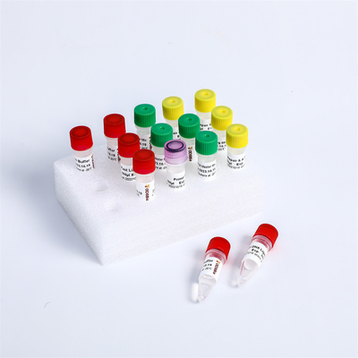 Renksiz NGS Kütüphanesi Yapımı Hızlı DNA Hazırlama Kiti K001-A K001-B