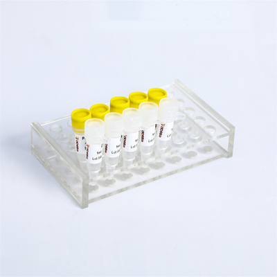 P2101 PCR Ana Karışım Kiti 400 Rxn 20μL Reaksiyon