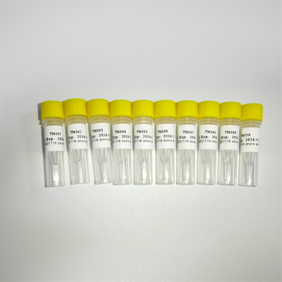 100 rxns NGS Kitaplığı Yapısı PCR Amplifikasyonu TN Primer İndeks Listesi-A K211-A