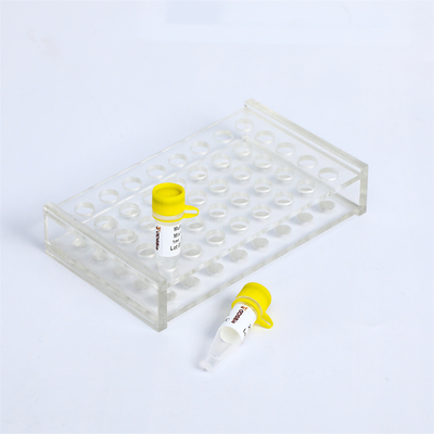 Özgünlük Kirliliği - Proof 2X Multiplex DNA RNA PCR Master Mix with UDG PM2001 PM2002 PM2003
