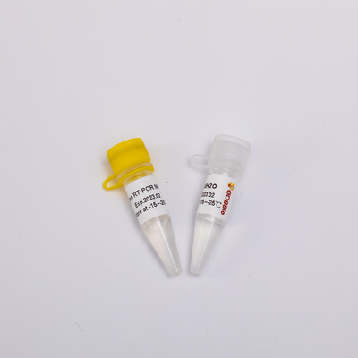 GDSBio RNA Ters Transkripsiyon ve Endpoint PCR Kiti Tek Adımlı RT Mix RP1001