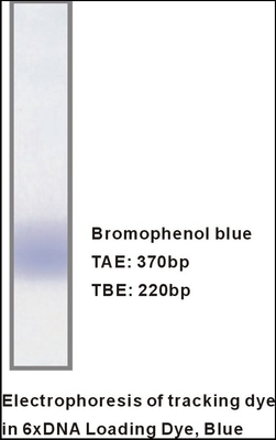 M9051 1mlx5 6× Jel Yükleme Tamponu DNA Elektroforez Spesifik Reaktifler