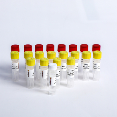 Illumina K002-A için Üniversal Adaptör PCR Primerleri Multiplex Oligos 1