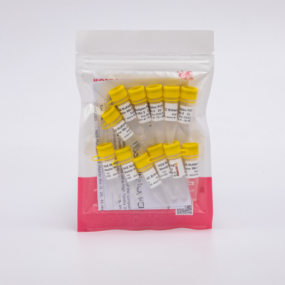 Ultra - Yüksek Sadakat NGS Multiplex PCR Master Mix II, 2X