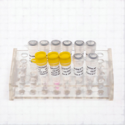 GDSlyo Liyofilize Rejanlar için Tek Adımlı Sonda RT-qPCR Kiti