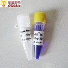 FS PCR Mix For DNA RNA Nucleic Acid Detection P2071 P2072