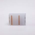 Viral DNA RNA Miniprep Kit Magnetic Beads GDSBio 96 Deep Well Plate